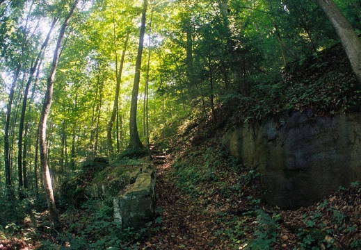 Big South Fork country